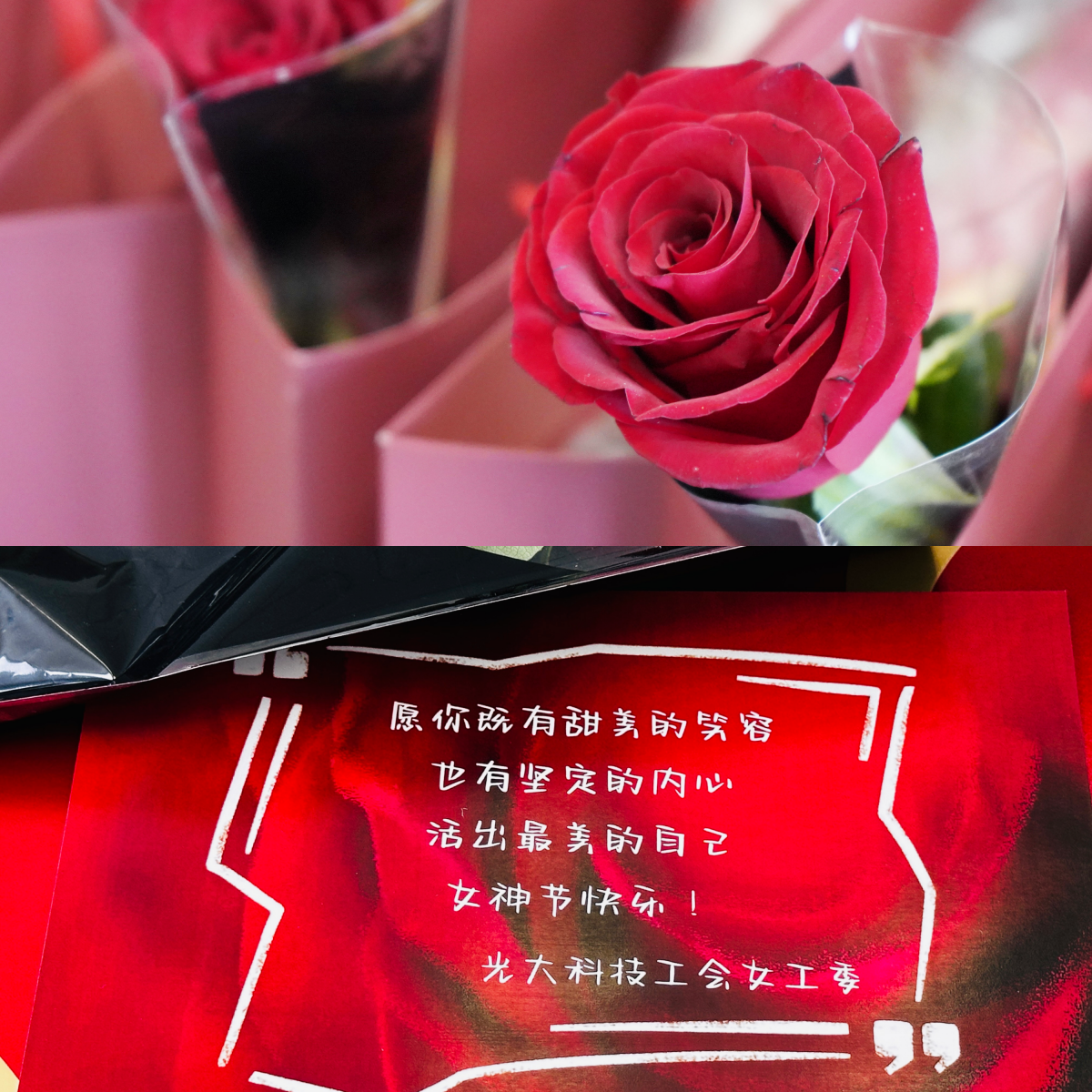 欧博abg官网(Allbet)会员登录入口