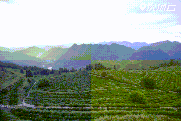 欧博abg官网(Allbet)会员登录入口