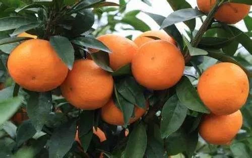 欧博abg官网(Allbet)会员登录入口